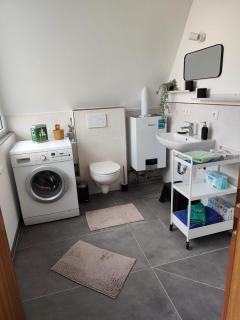 Ferienhaus Eulenburg am Reuthsee - 1