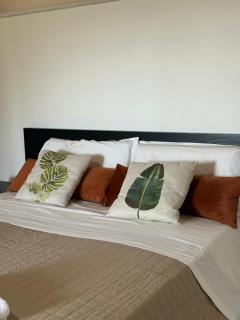 Tenute Cinquanta - 5