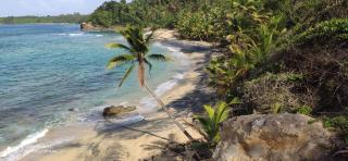 Turtle Beach villa, Private beach - 3