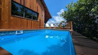 Turtle Beach villa, Private beach - 5