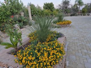 Villetta Salento Lu Trolitu - 3