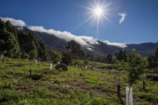 CHL Mayoysa La Palma, vista mar en Breña Baja - 3
