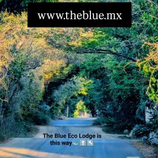 The Blue Eco Lodge - 6