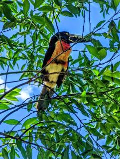 The Blue Eco Lodge - 8