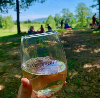 Fantastic Home, Ideal Location, Dogs Welcome! - 8