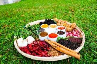 Silent Garden Ayurveda Health Resort - 7