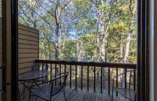 Fantastic Home, Ideal Location, Dogs Welcome! - 6