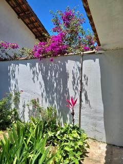 Casa no Centro 600m da Praia - 1