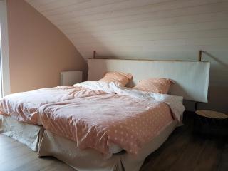 Gîte Du Moulin De La Violaye - 4