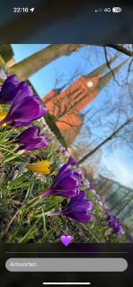 Zietentreff der Kulturen - DEXTER - 8