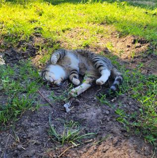 Heidehof Kuppendorf - 7