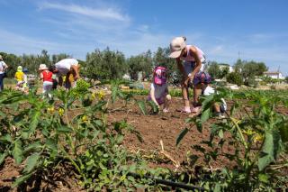 Villa Francesca Apartments - 7