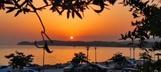 D&D Holiday Studios - 4