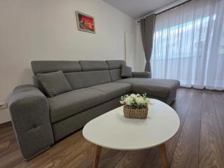Milan Luxury Apartaments VIII Brasov near Coresi Mall - 7