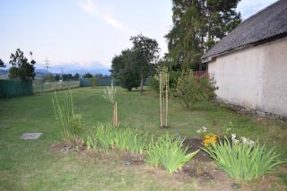 DáMa - Ružomberok - 2