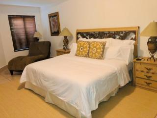 Villa Vita Oceanfront Mansion - 1