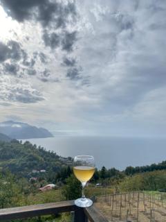 Lazeti Inn • ლაზეთი ინნ - 9