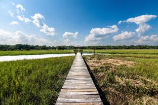 Creekside Cottage - 6