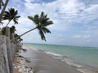 Recanto dos bem-te-vis - 7