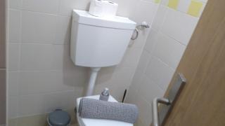 Singh Leite Family PT - 1