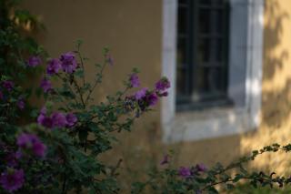 Maison Mirabelle - Gamarde-les-Bains - 5