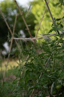 Maison Mirabelle - Gamarde-les-Bains - 5