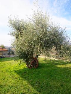 2 Br,1bath with 2 AC units, garden apt in Chianti! - 2