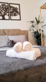 Charming apartment near Copacaba Beach - 8