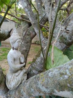 Refúgio Geribá Búzios - 6