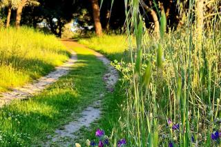 Beach and Bike Apartment - Costa da Caparica - 7
