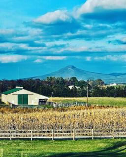Charming Farmhouse w King Bed Hot Tub & EV Charger - 0