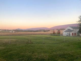 Charming Farmhouse w King Bed Hot Tub & EV Charger - 5