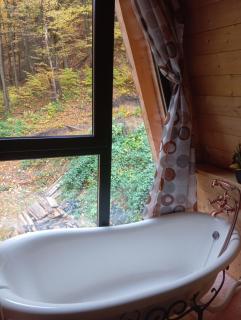 Cabana Aframe Blidari - 1