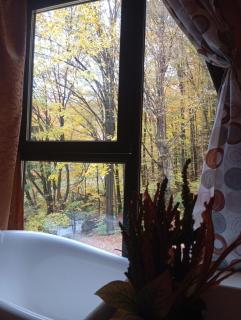 Cabana Aframe Blidari - 2