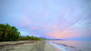 Senda Beach House Tayrona - 1