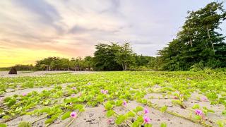 Senda Beach House Tayrona - 4