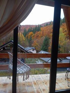 Cabana Aframe Blidari - 4