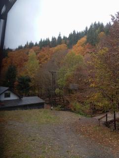 Cabana Aframe Blidari - 5