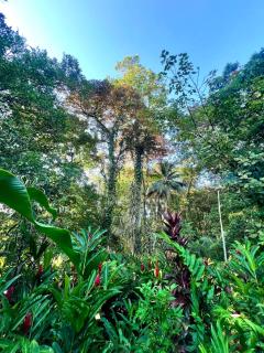 Fairytale Jungle Cottage by the Sea, Bocas - 2