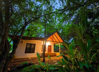 Verdant Hill Villa - 8