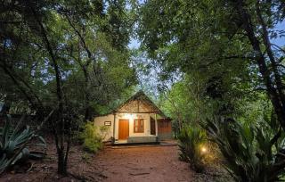 Verdant Hill Villa - 4