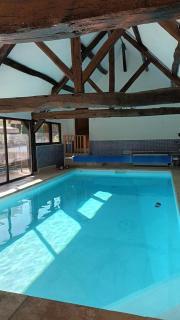 Les 2 Ginkgos à 5 minutes de Beauval - 9