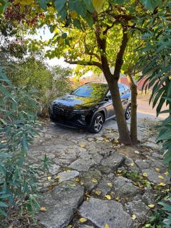 Casa rural De Añil - Jardín privado - 7