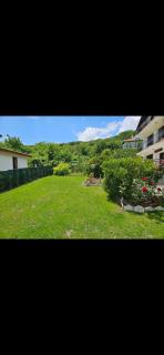 Villa Detelina 2025 - 1