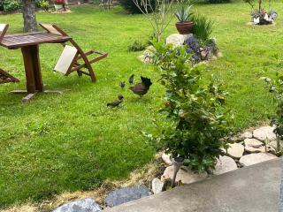 Le Repère Sérénité - Logement T2 au calme, proche Agen - 9