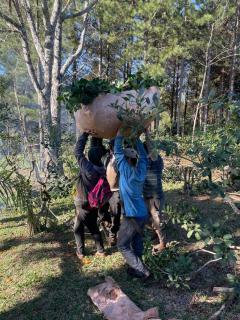 La Gloriosa eco house - 3