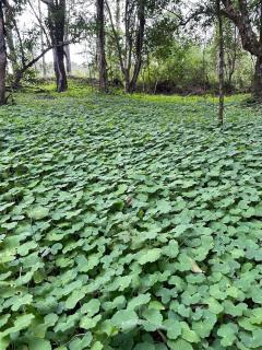 La Gloriosa eco house - 1