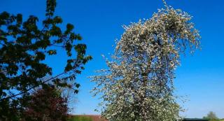 Appartamento Frignano - 2