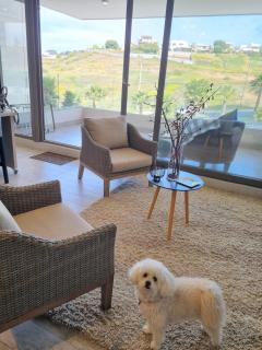 Acogedor y moderno apartamento cerca de Dunas y playa en Con Con - 0