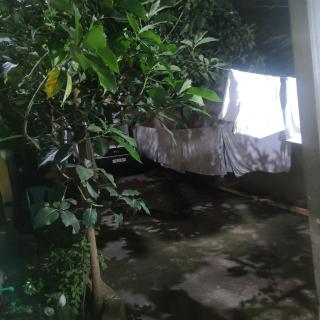 Arba Minch hiber Guest house - 3